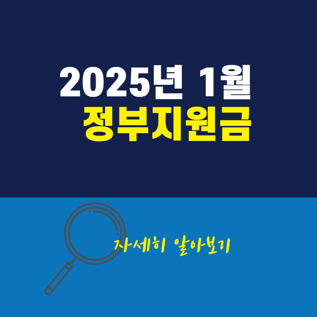 2025년 정부지원금
