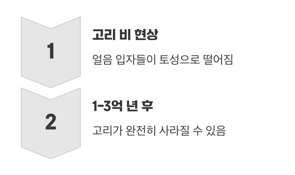 영원하지 않을 수 있는 아름다움