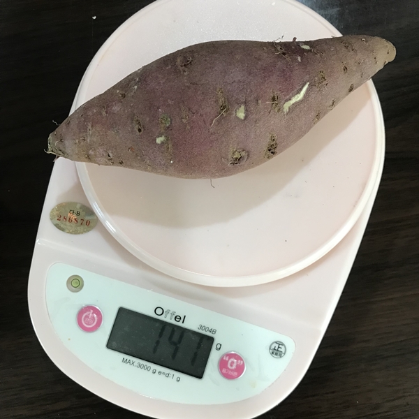 김의준 고구마 중 사이즈