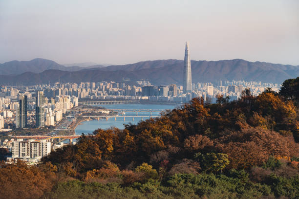 2025 부동산 시장 전망 확인하기