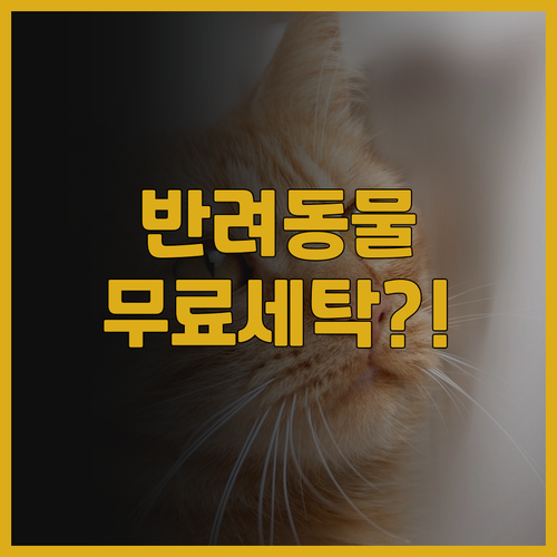 아이딜 호텔 추천 후기 반려동물 동반..
