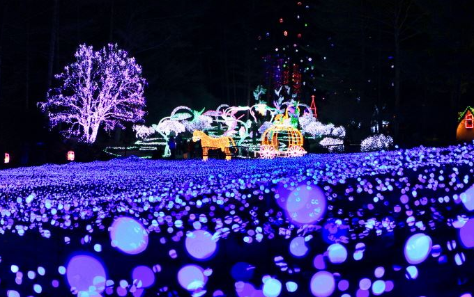 빛의 축제 사진