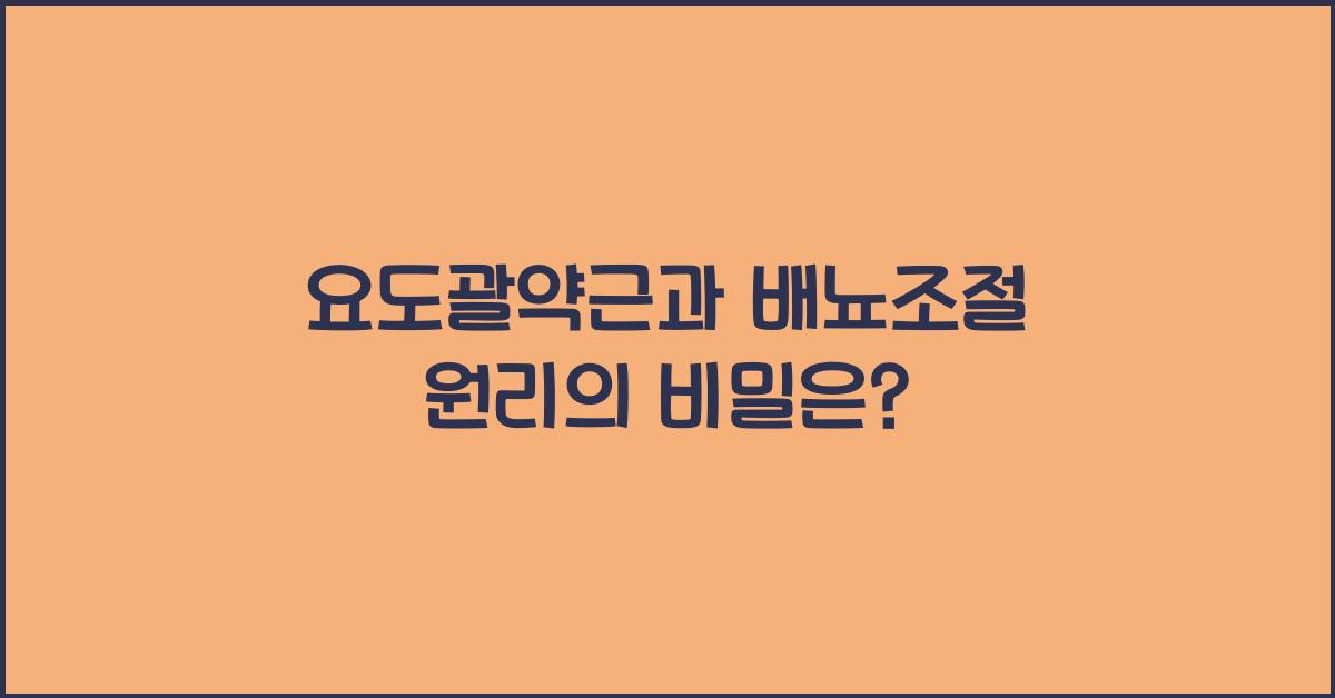 요도괄약근, 배뇨조절 원리