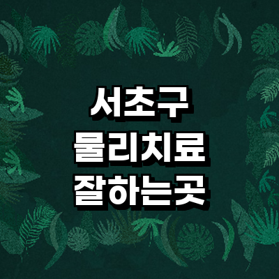 서울 서초구 정형외과