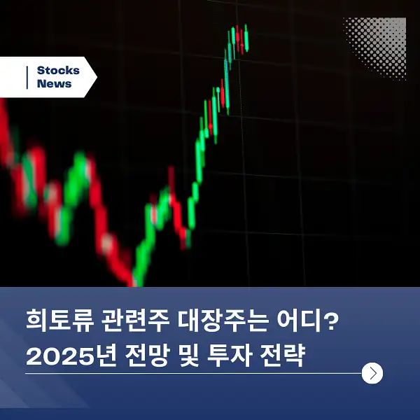 희토류 관련주 대장주