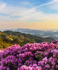 3월 국내 축제 일정