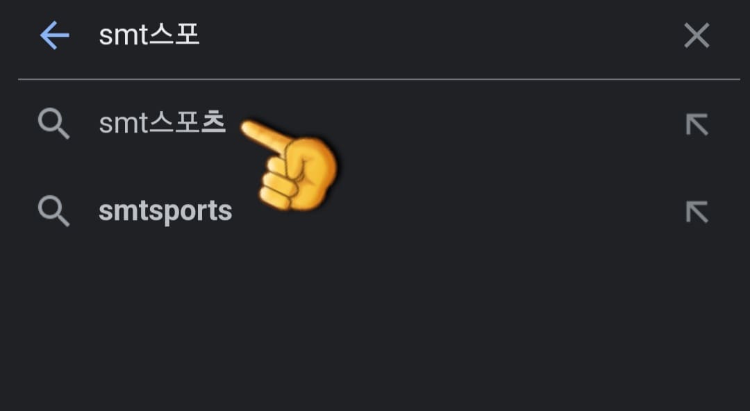 SMT스포츠-편성표-및-채널번호-안내-다음,-네이버,-구글-포털-사이트에서-SMT-SPORTS-입력하고-검색하기