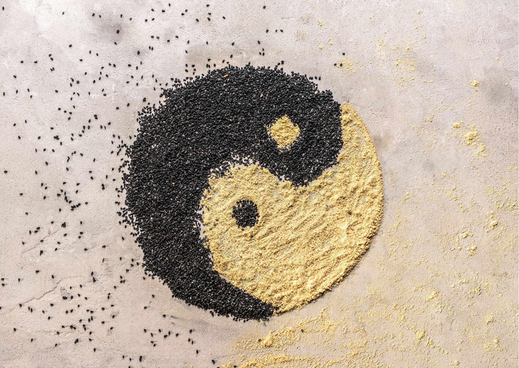 명리학 음양론 관련 사진