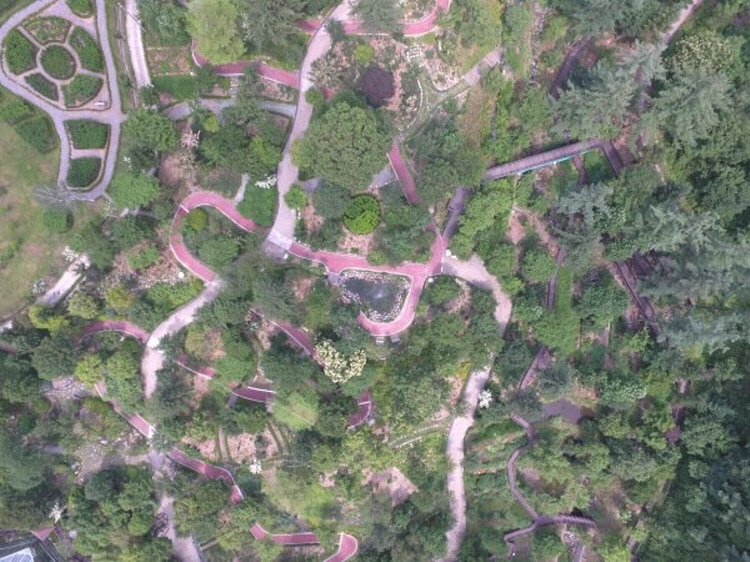 유명산 자연휴양림