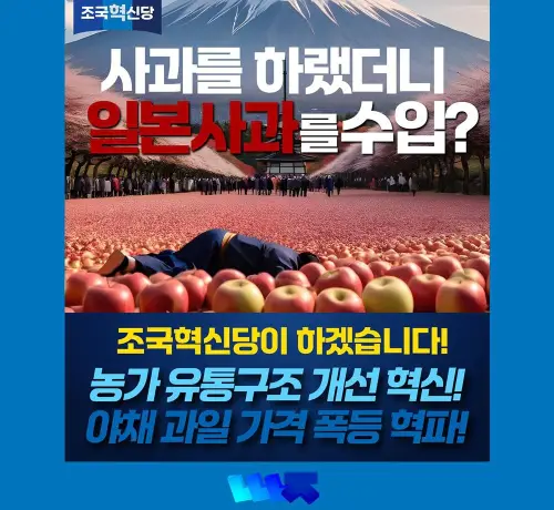 카드뉴스