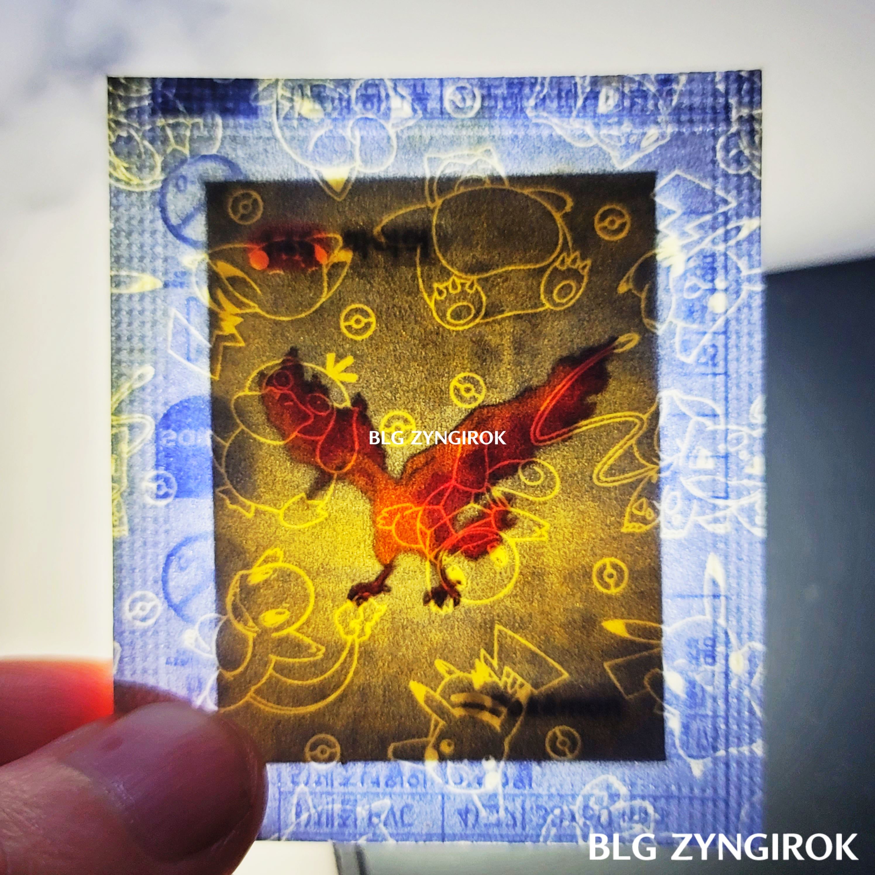 띠부띠부씰-파이어를-들고있다.