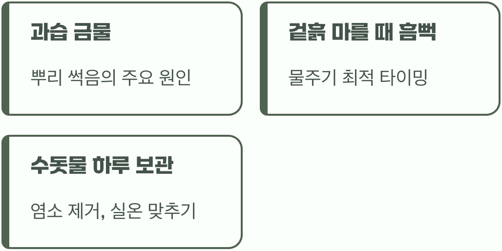 비결 3. 과습은 금물&amp;#44; &amp;#39;물주기&amp;#39;의 지혜