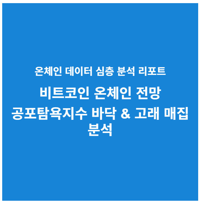 비트코인 전망 온체인 데이터
