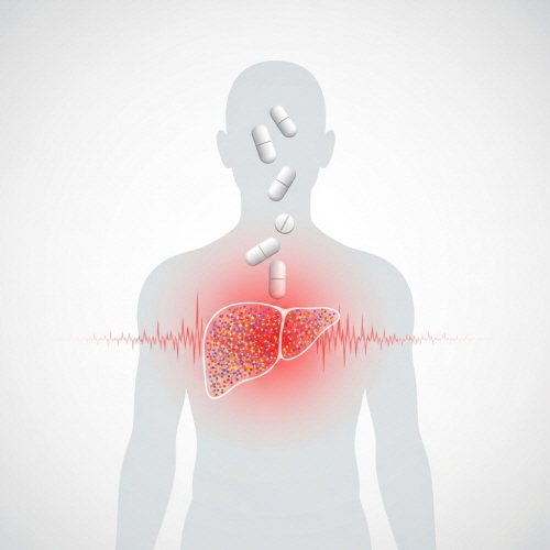 수험생 영양제 부작용