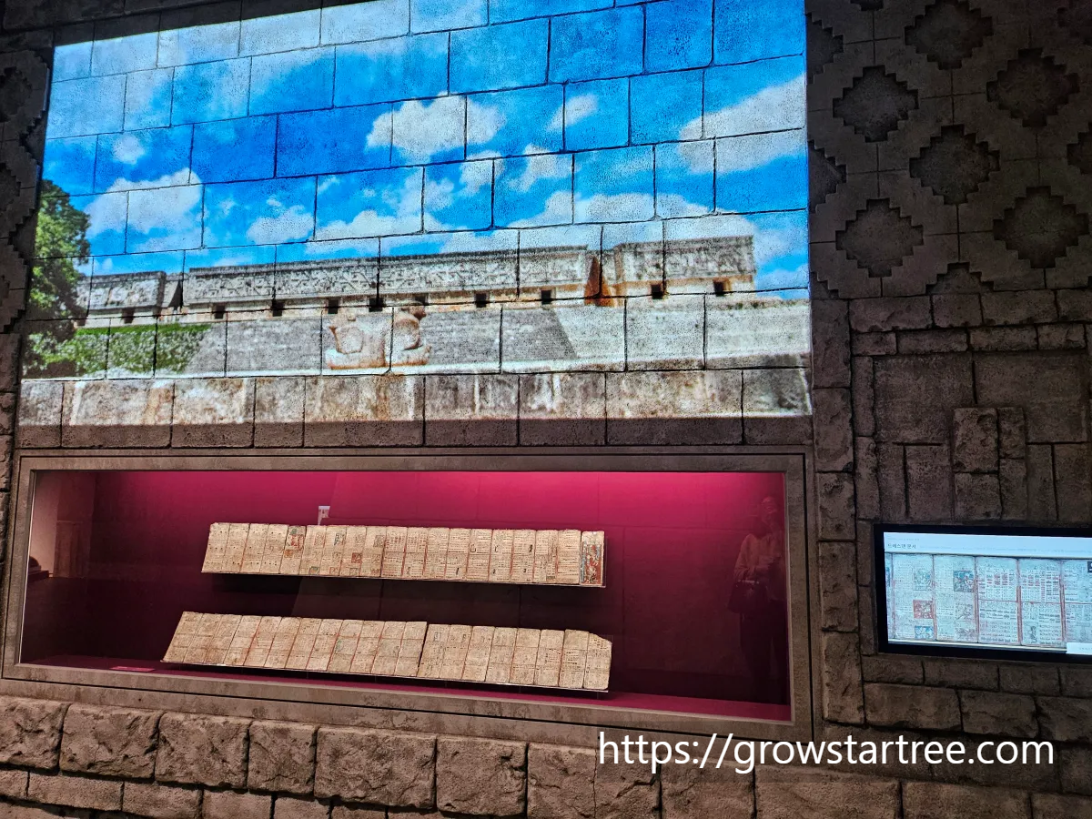 국립세계문자박물관 드레스덴문서