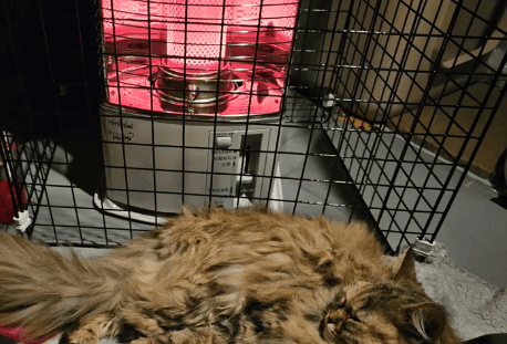 토요토미난로 후기