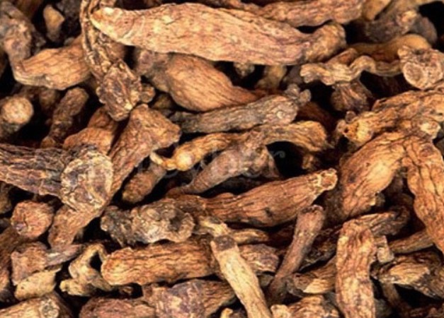 둥글레차 효과 둥글레차 물대신 둥굴레차 효능 둥굴레차 부작용