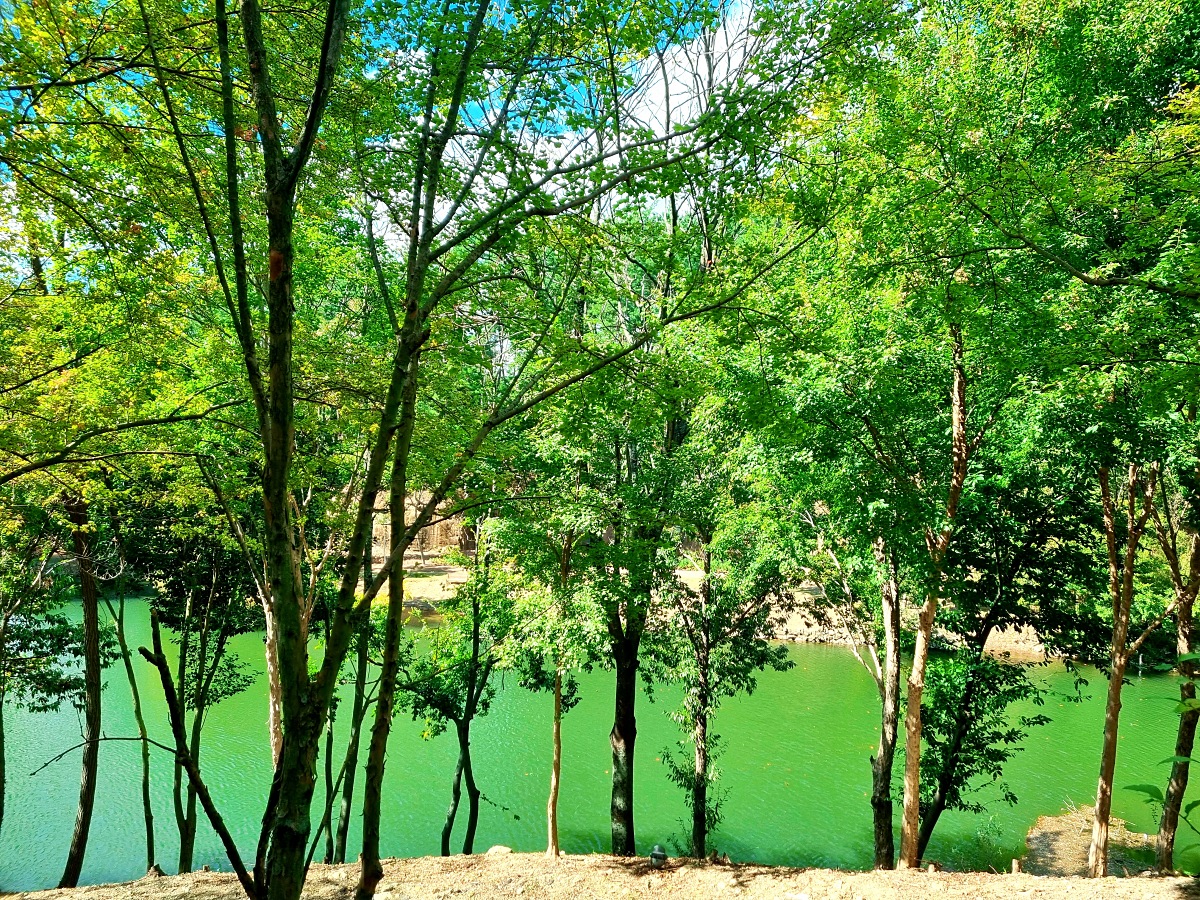 진주 가볼만한곳 진양호 공원: 진경양지 카페, 물빛갤러리, 반영이 예쁜 호수 둘레길
