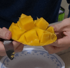 애플망고 후숙방법