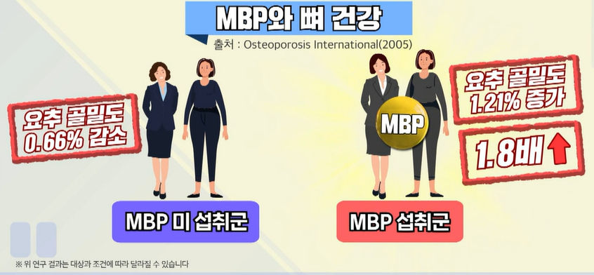 MBP 효능