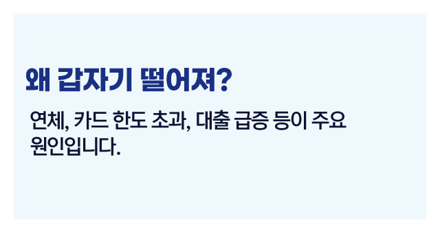 신용하락원인정리-이미지2