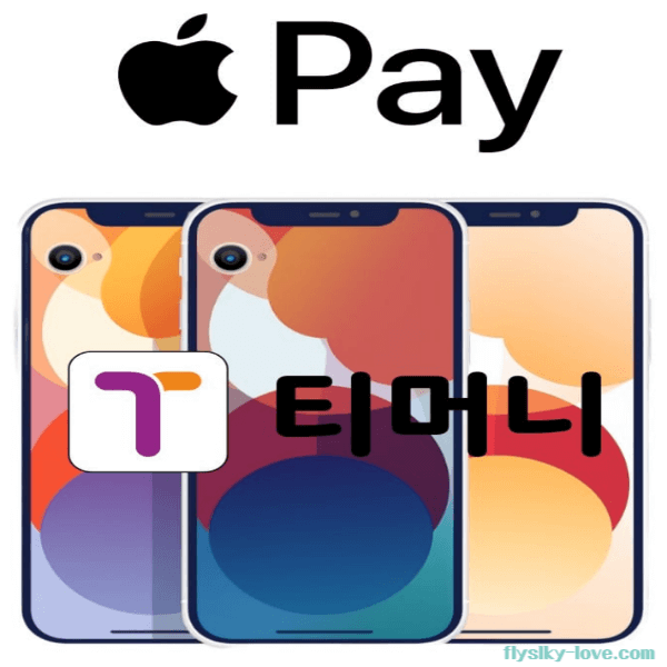 애플페이 티머니