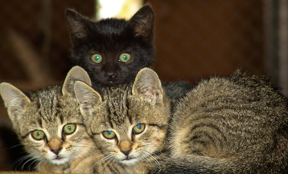 친구꿈 상황별 해몽