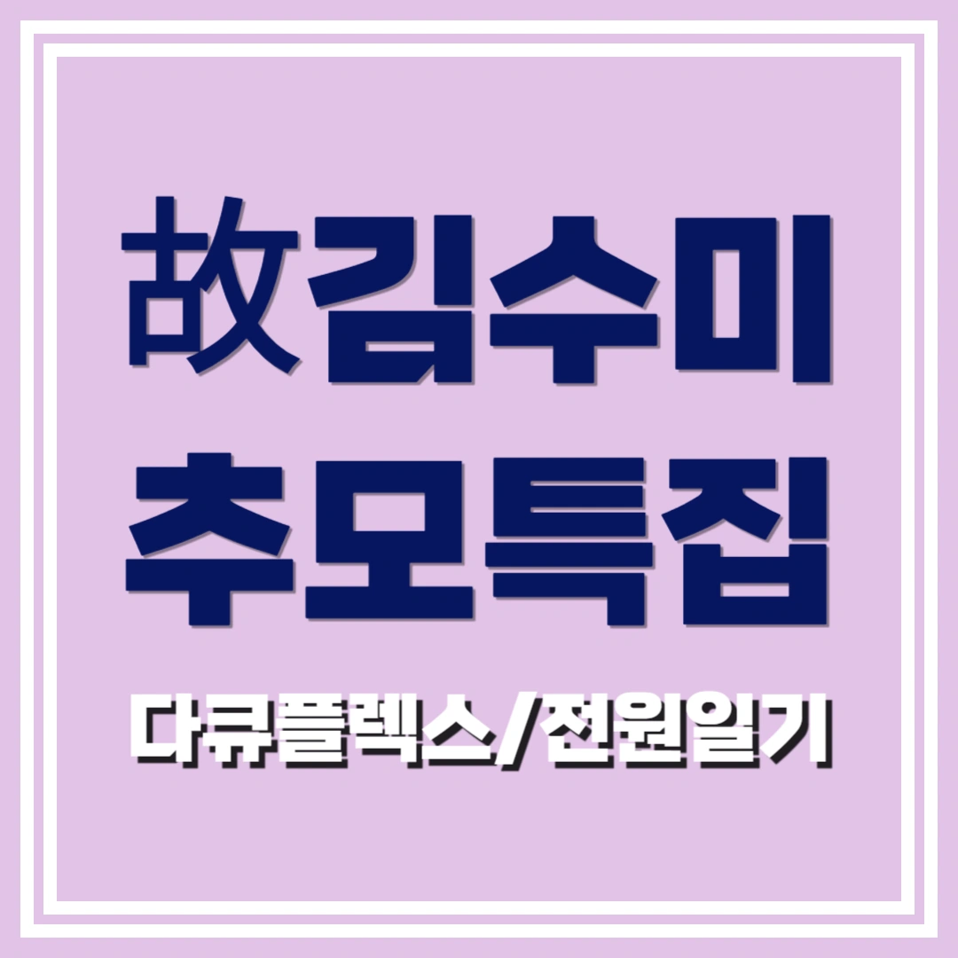 김수미-추모-특집 방송