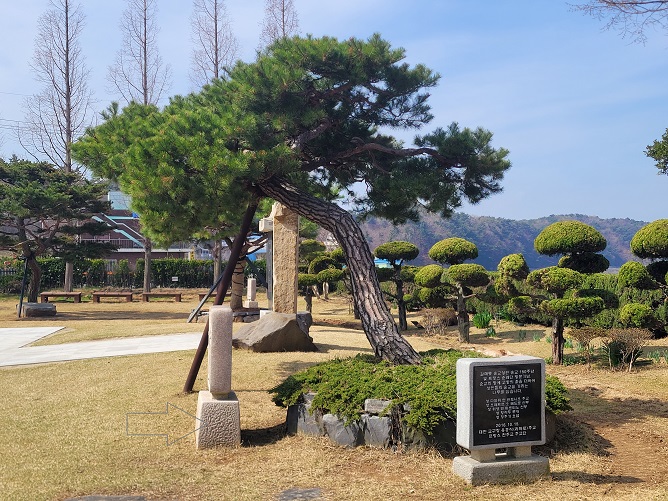 갈매못 순교 150주년 기념 식수