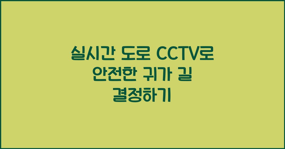 실시간 도로 cctv