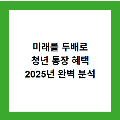 미래를 두배로
청년 통장 혜택
2025년 완벽 분석