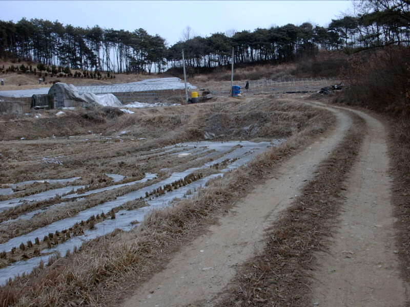 개별공시지가 조회