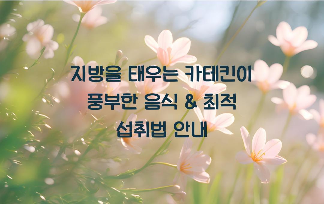 지방을 태우는 카테킨이 풍부한 음식 & 효과적인 섭취법