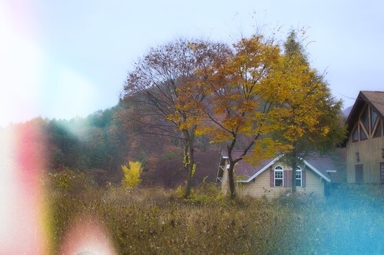 농가주택 허가조건(신축) 1가구 2주택 양도세 비과세 요건