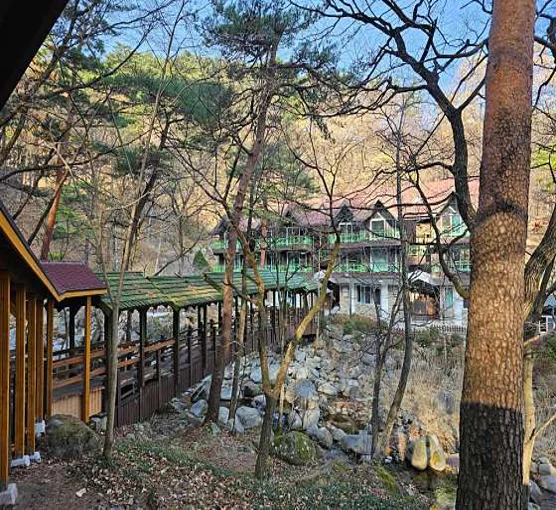대관령자연휴양림