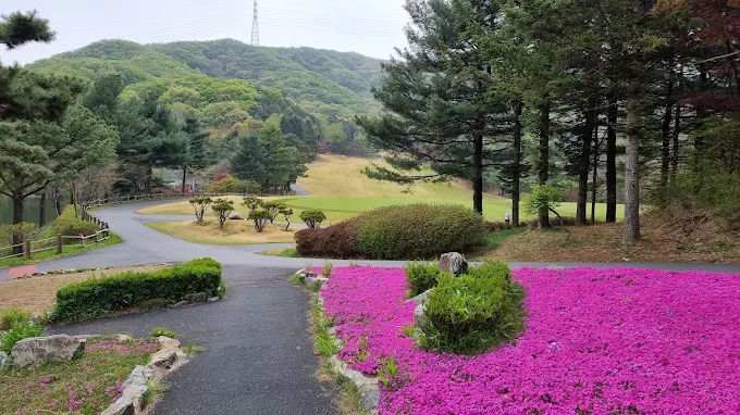 용인 88컨트리클럽 (88CC) 소개 및 이용방법