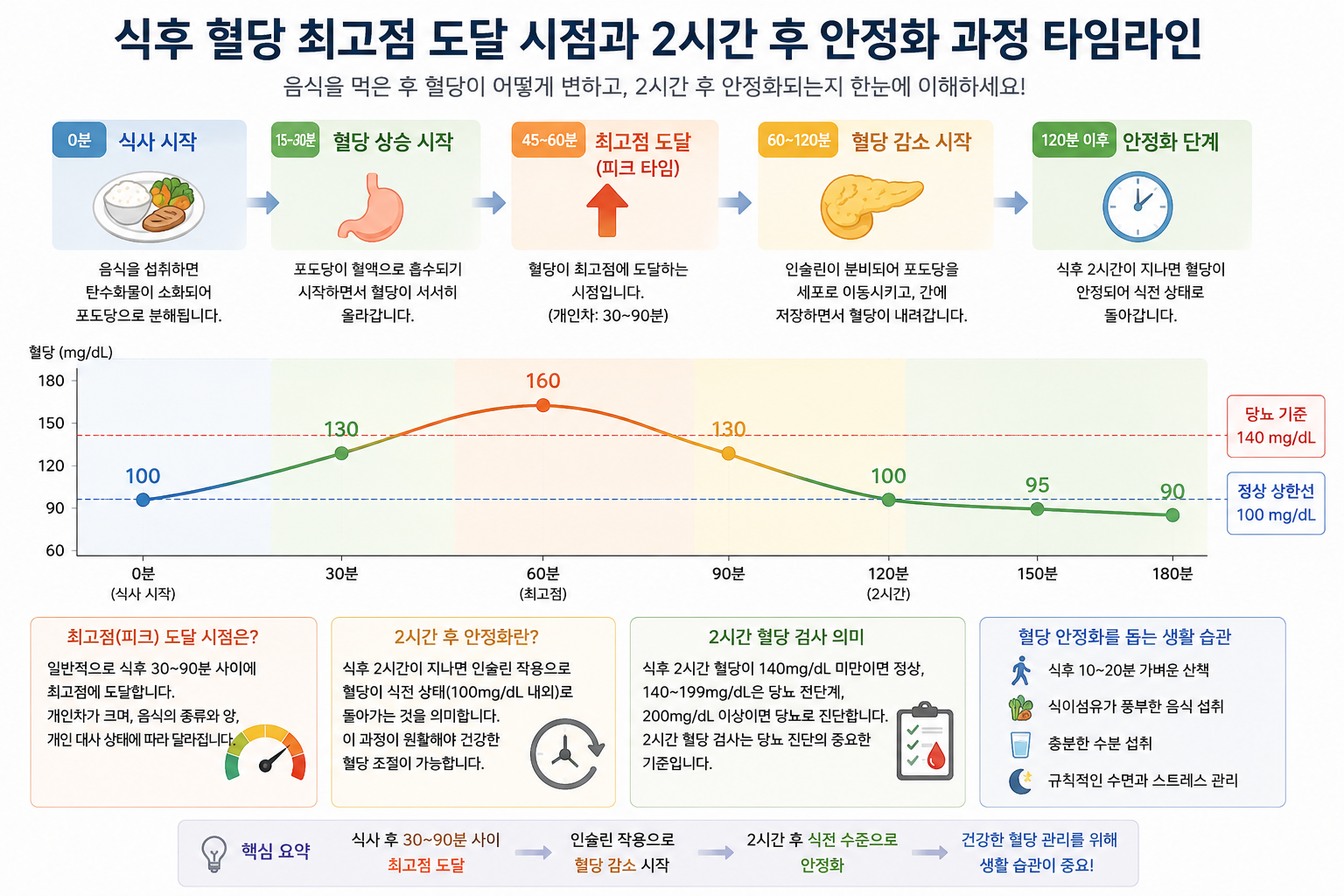 식후 혈당 최고점 도달 시점과 2시간 후 안정화 과정 타임라인