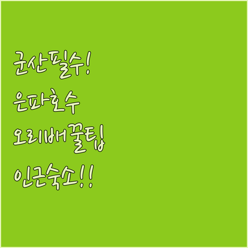 군산 여행 필수 코스 은파호수공원 오..