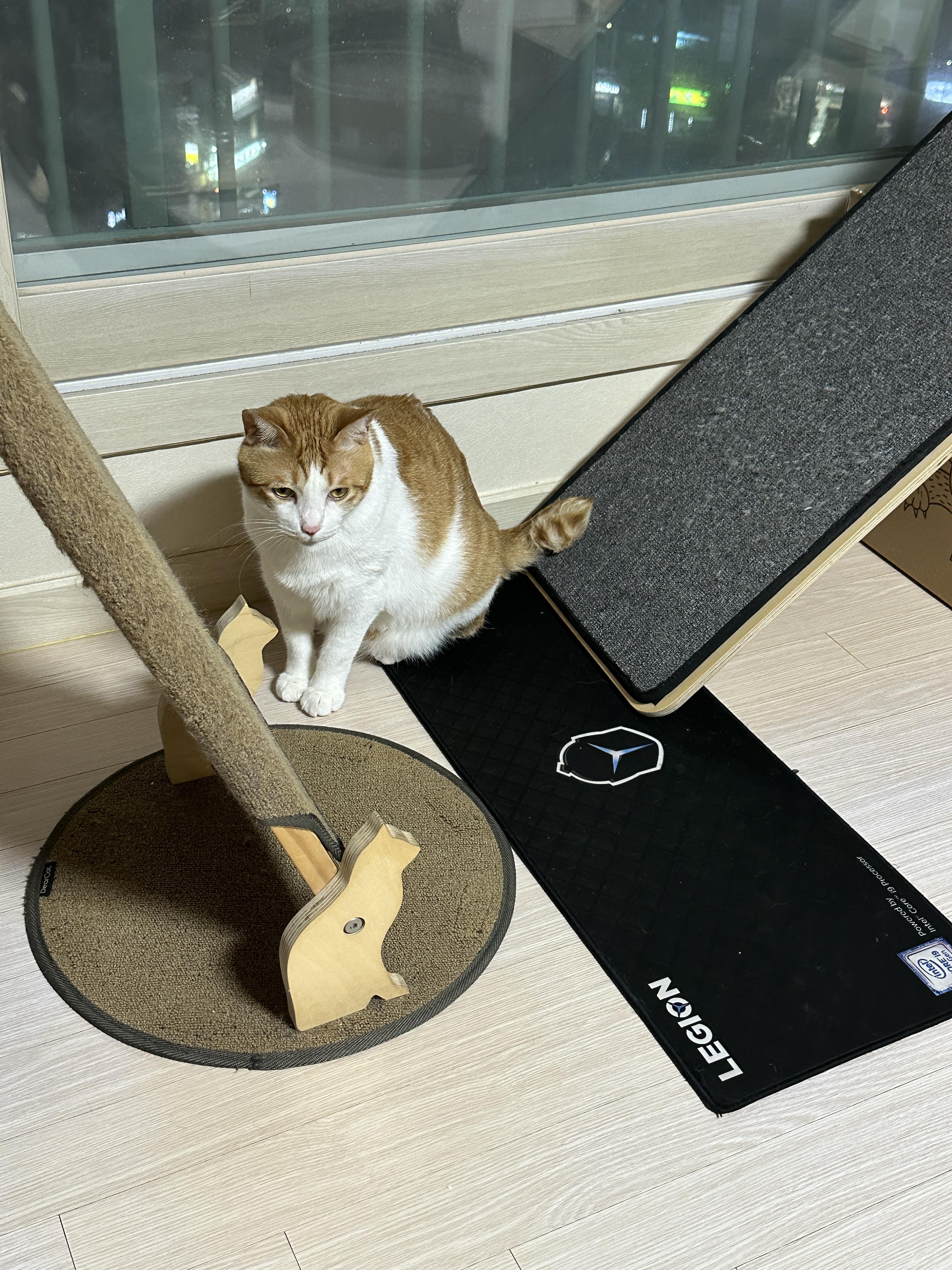 다른아이들과_다르게_막둥이는_얌전히_바닥에_앉아있다