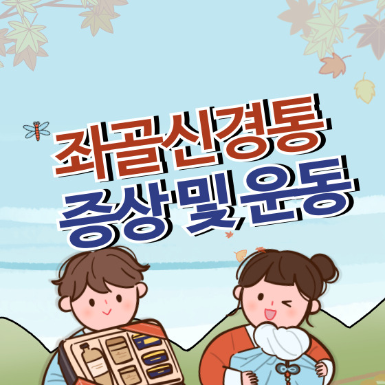 좌골신경통 증상및 운동법