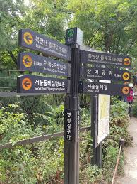 동물모양 러닝코스