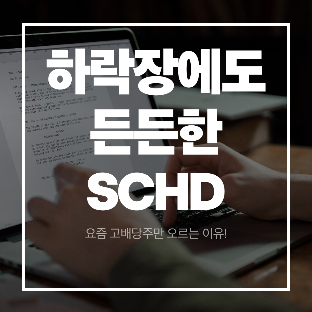 하락장에도 든든한 SCHD, 왜 요즘 고배당주만 오를까? (방어적 순환매의 비밀)