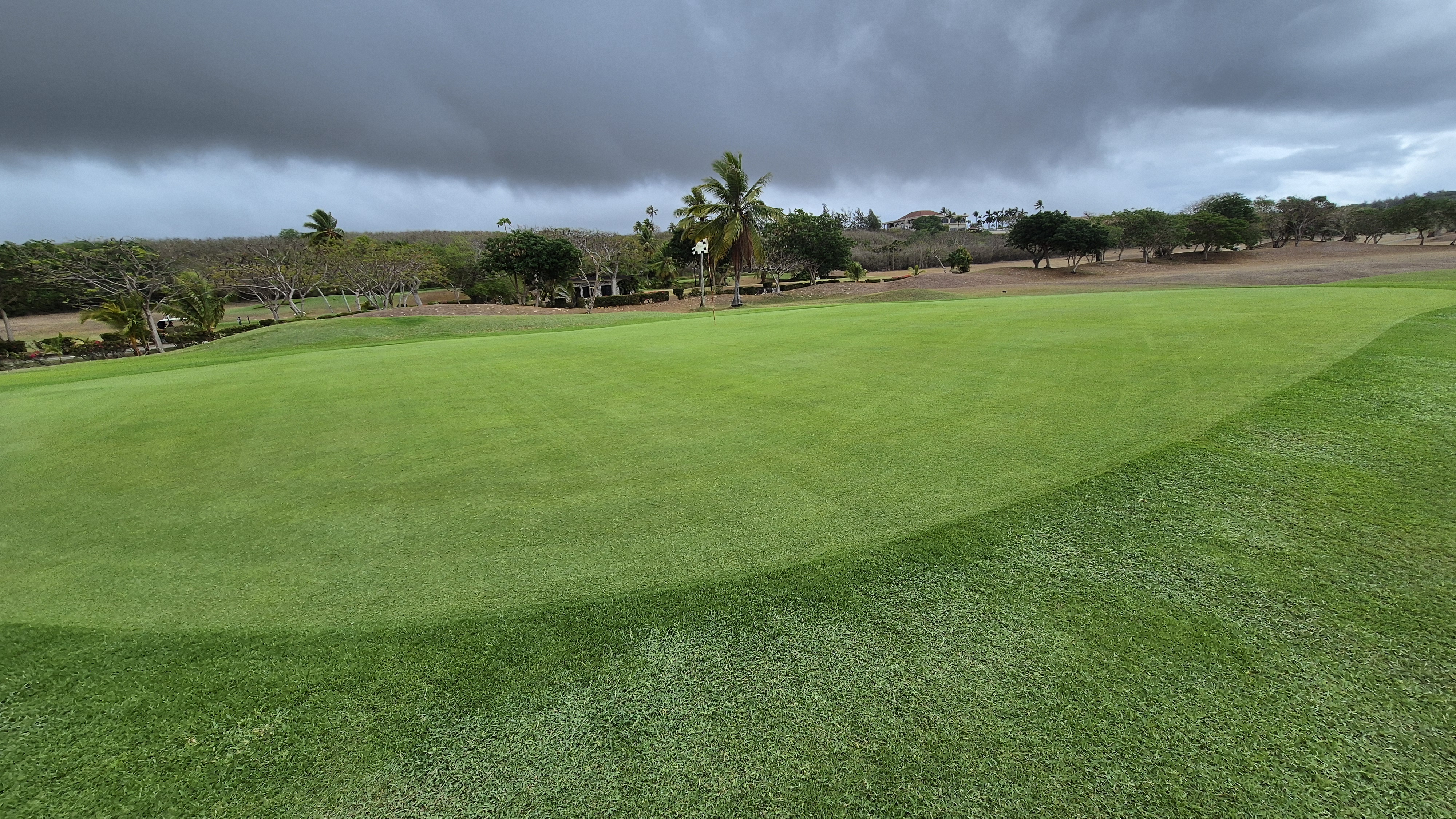 코랄오션cc 골프 라운드