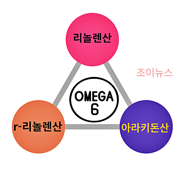오메가6 지방산의 종류