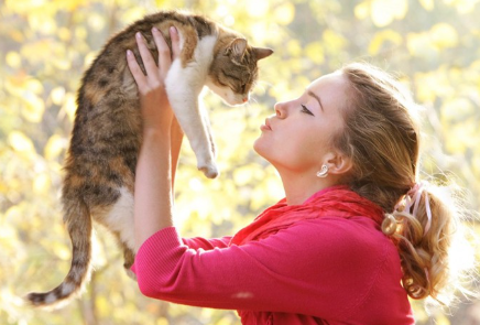 여자에게 안기는 고양이.
