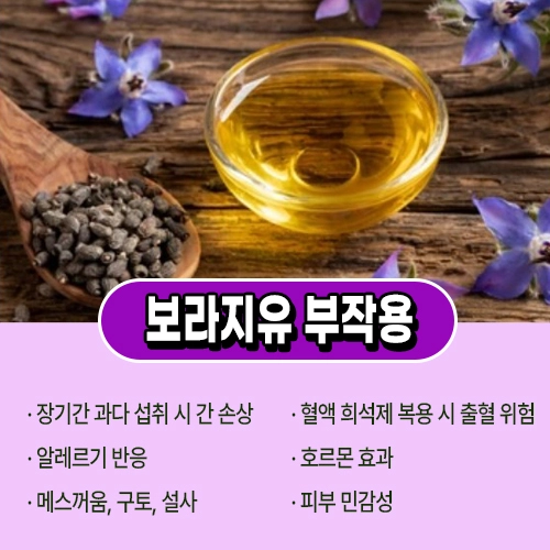 감마리놀렌산