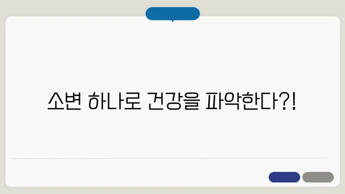 소변검사로 알 수 있는 것 건강 상태를 확인하는 방법