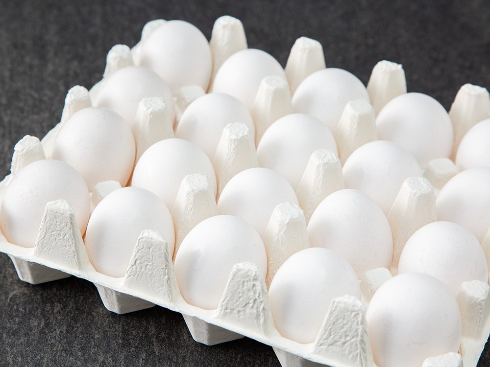 6시내고향 경남 함양 계란 유정란 달걀 파는 곳 전국 택배 온라인 전화 주문 추천