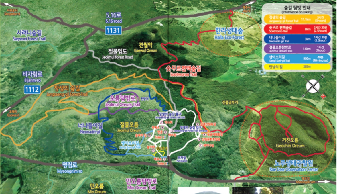 절물자연휴양림 숲속 힐링 여행과 숙소 정보