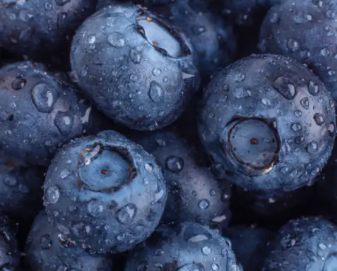 hdl-콜레스테롤-높이는-방법-정상수치-건강